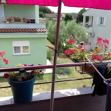 Pleasure Apartment